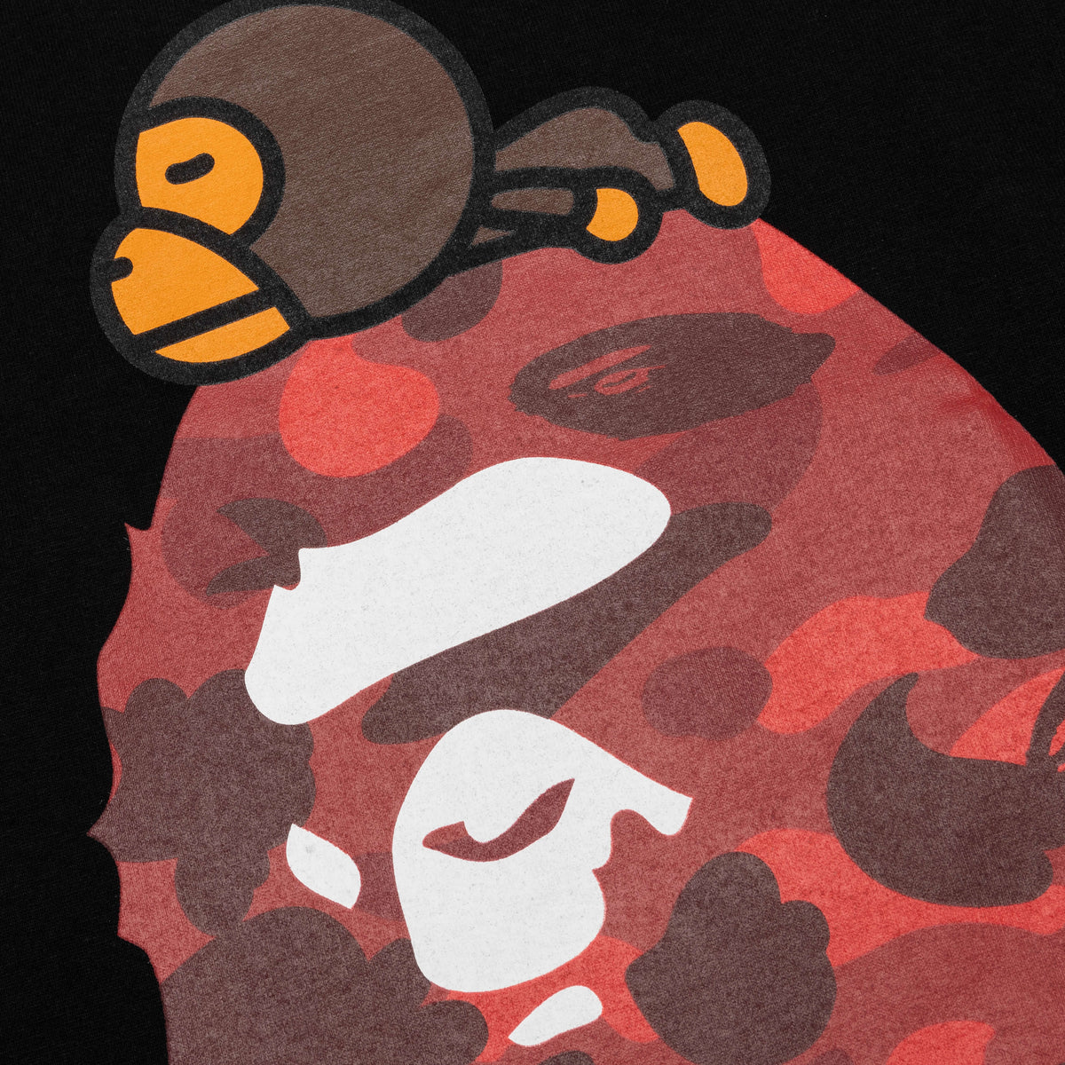 Feature