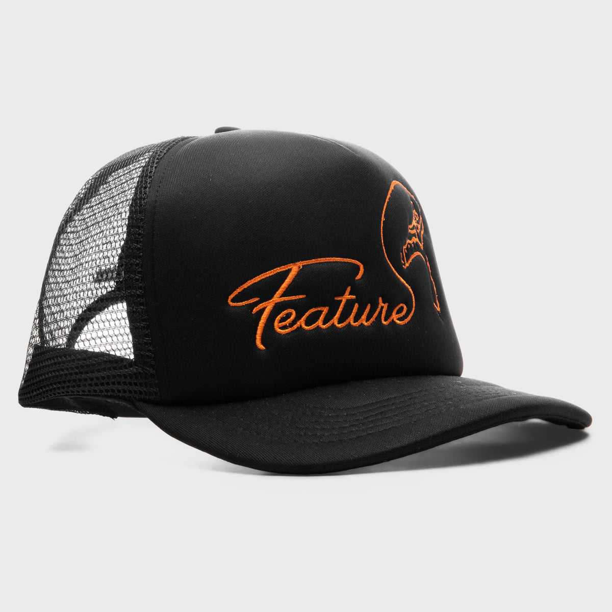 Feature
