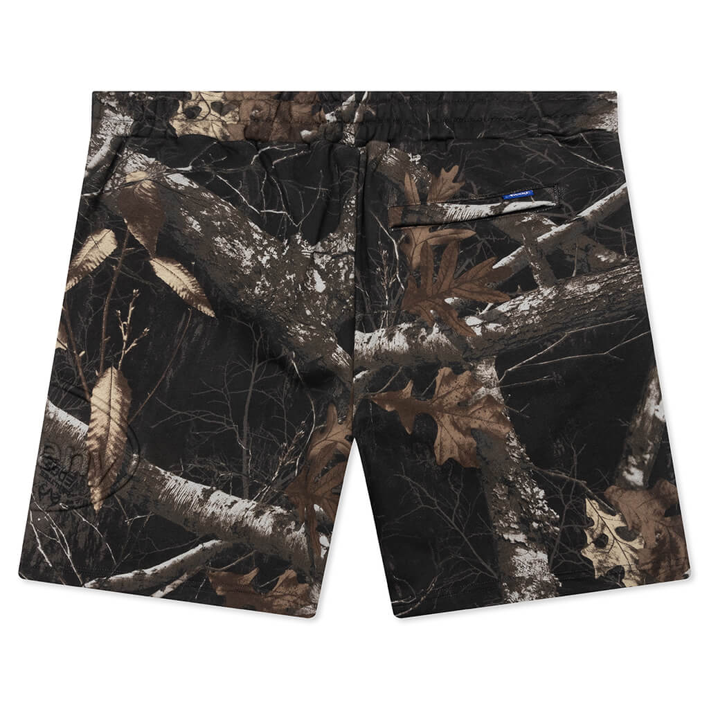 Feature