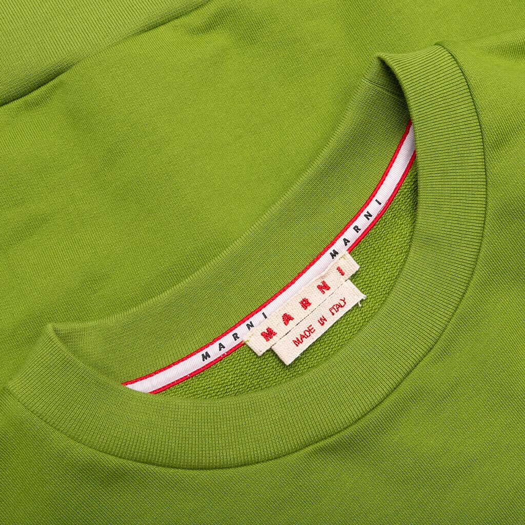 Feature