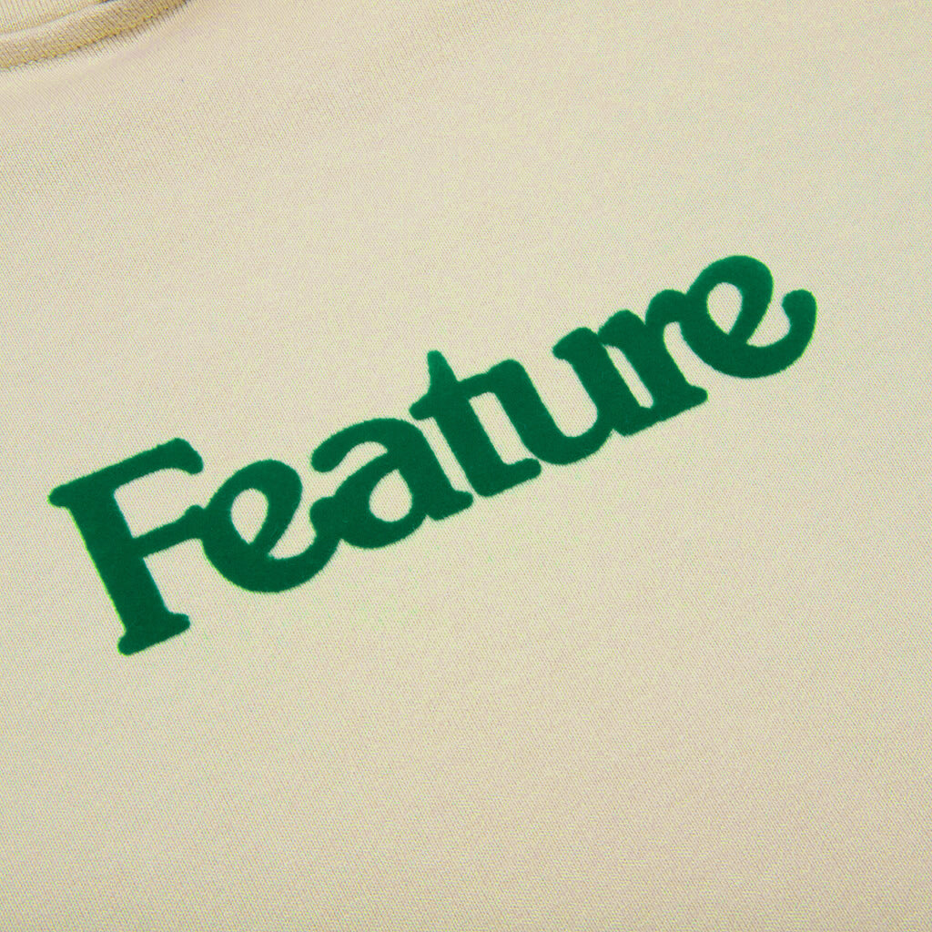 Feature
