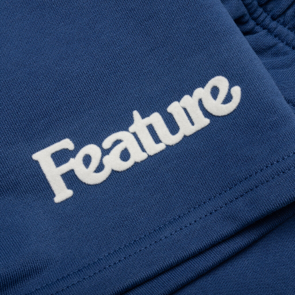Feature
