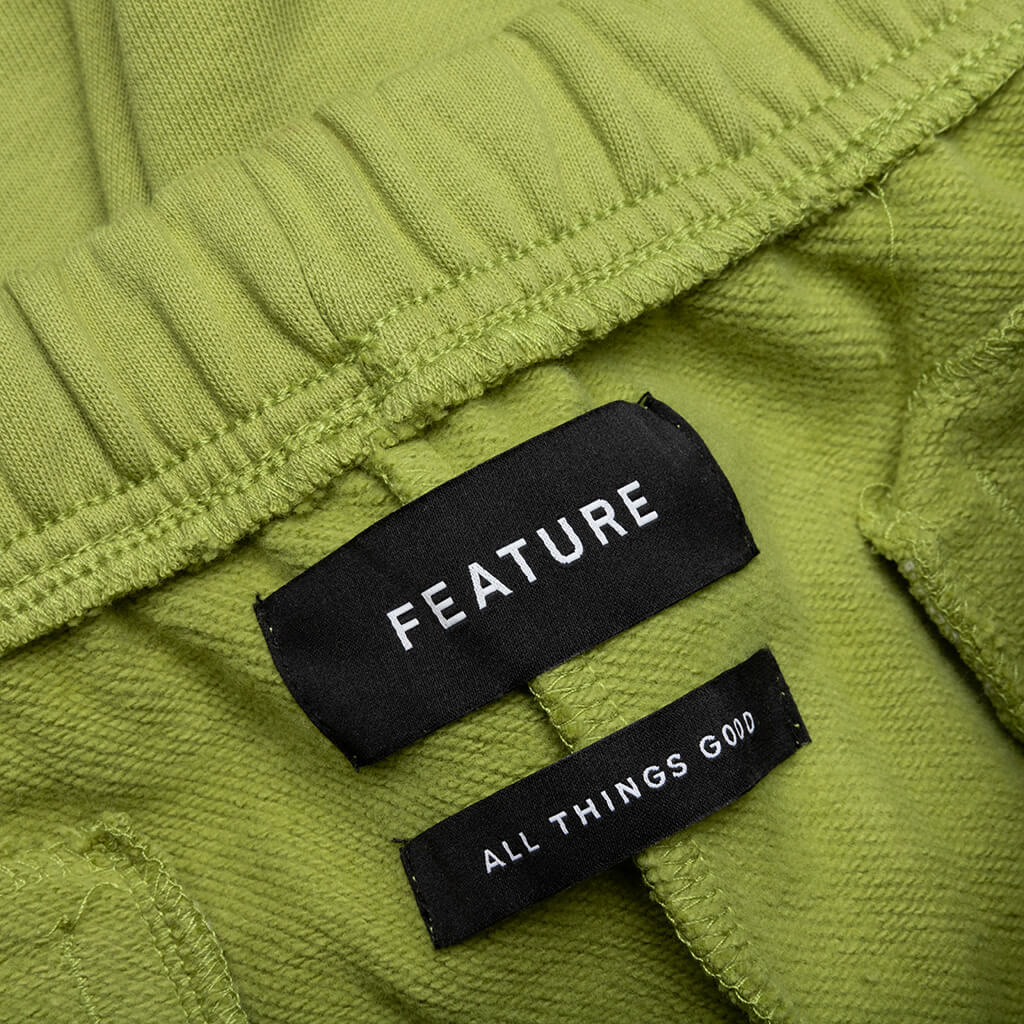 Feature