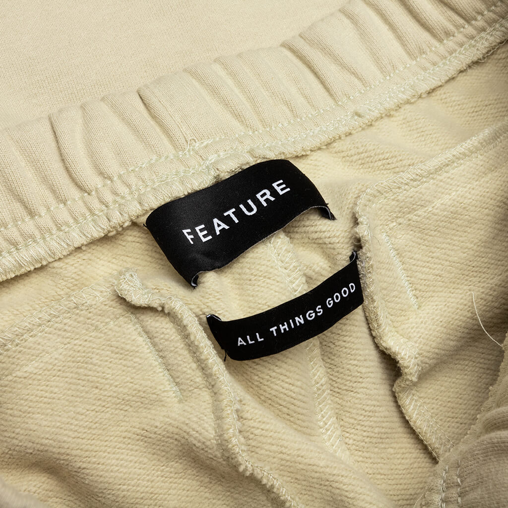 Feature