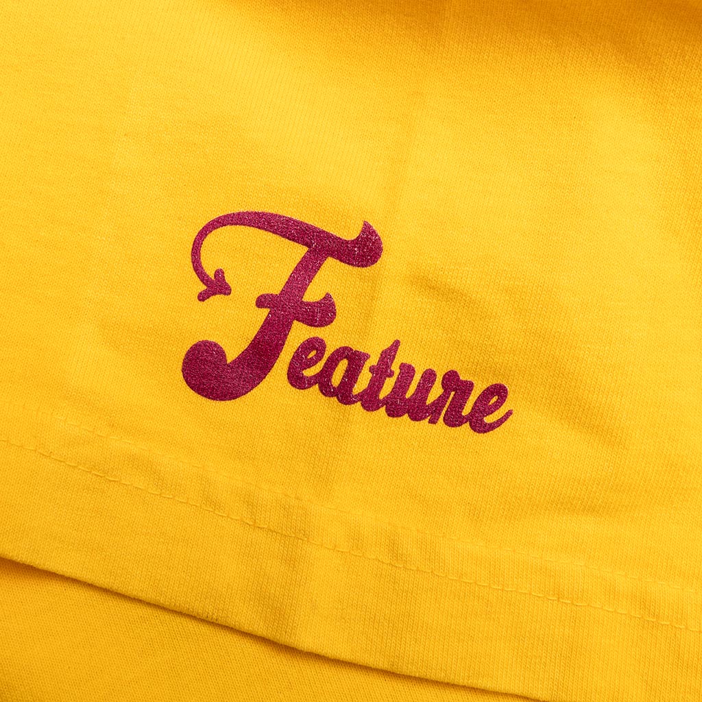 Feature
