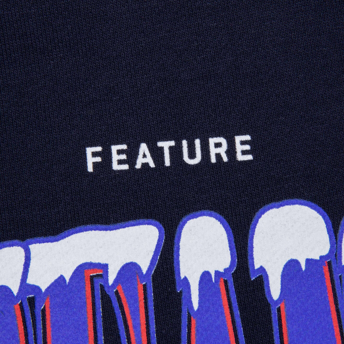 Feature