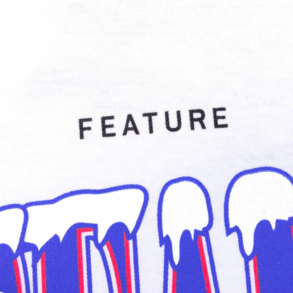 Feature