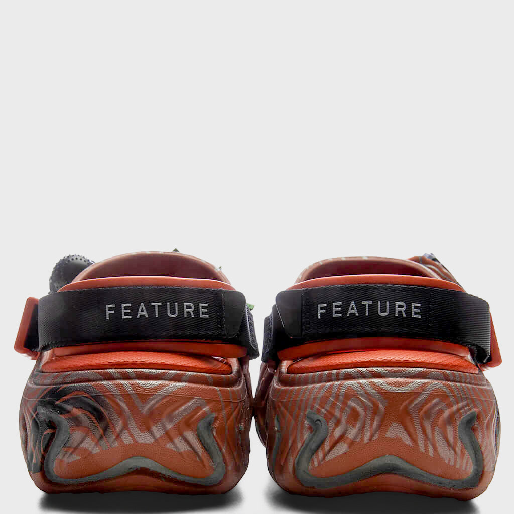 Feature