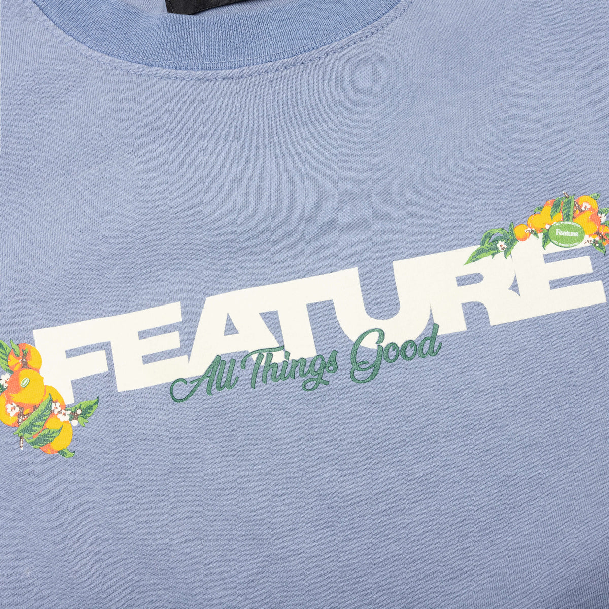 Feature