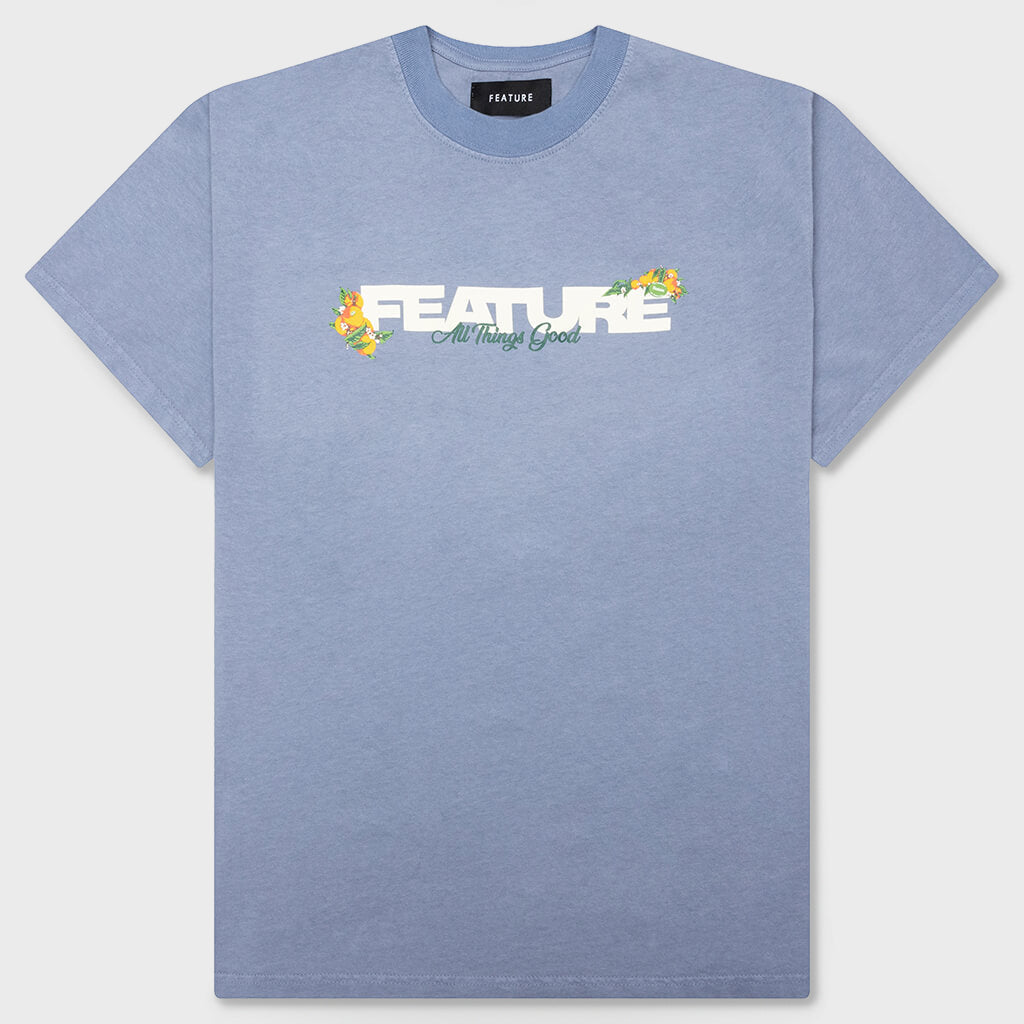 Feature