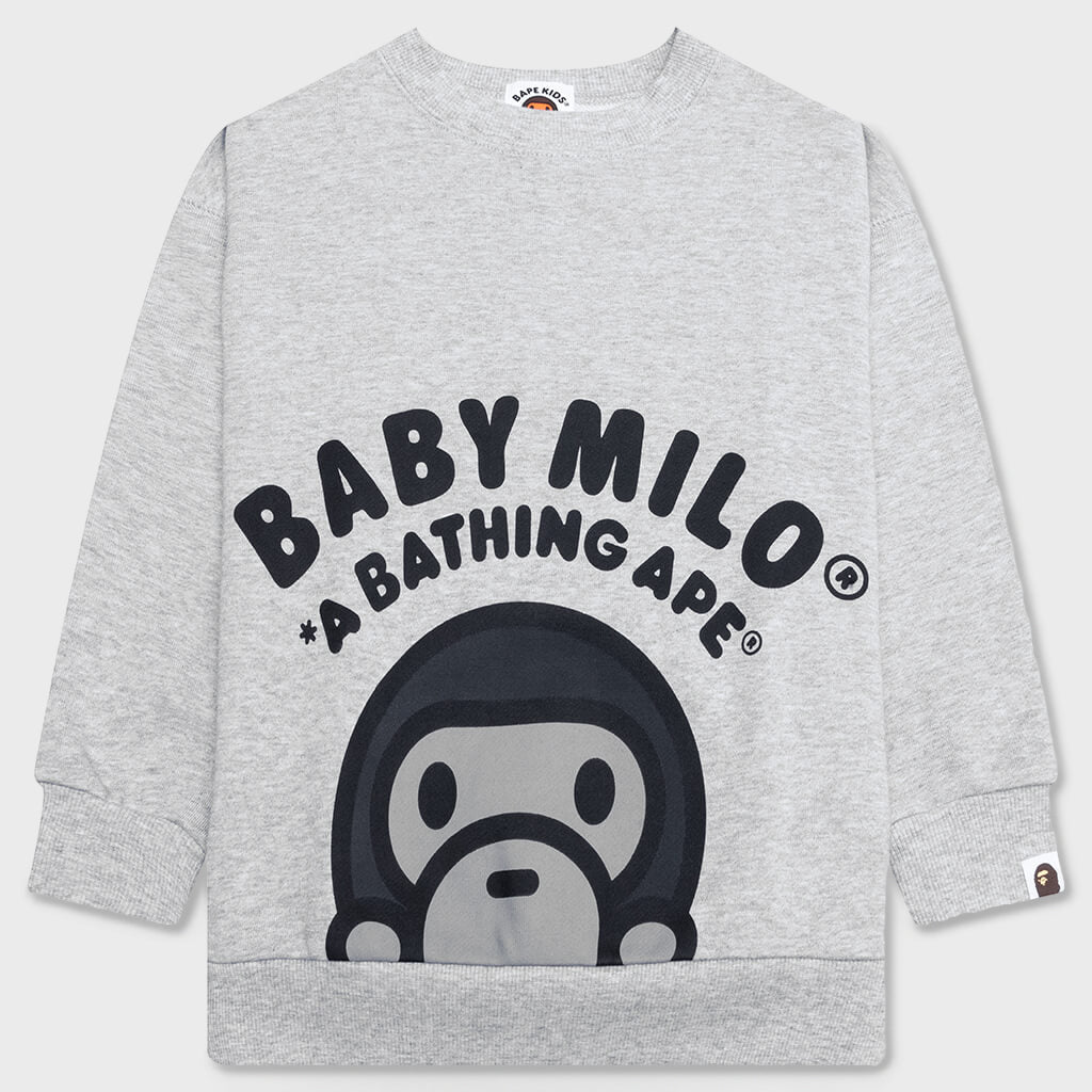 Kid's Baby Milo Relaxed Fit Crewneck Sweatshirt - Gray