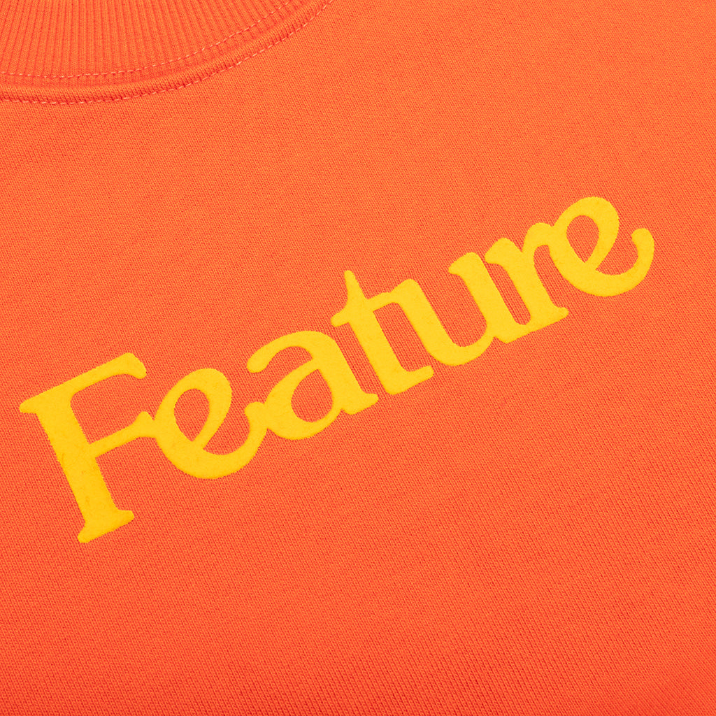 Feature