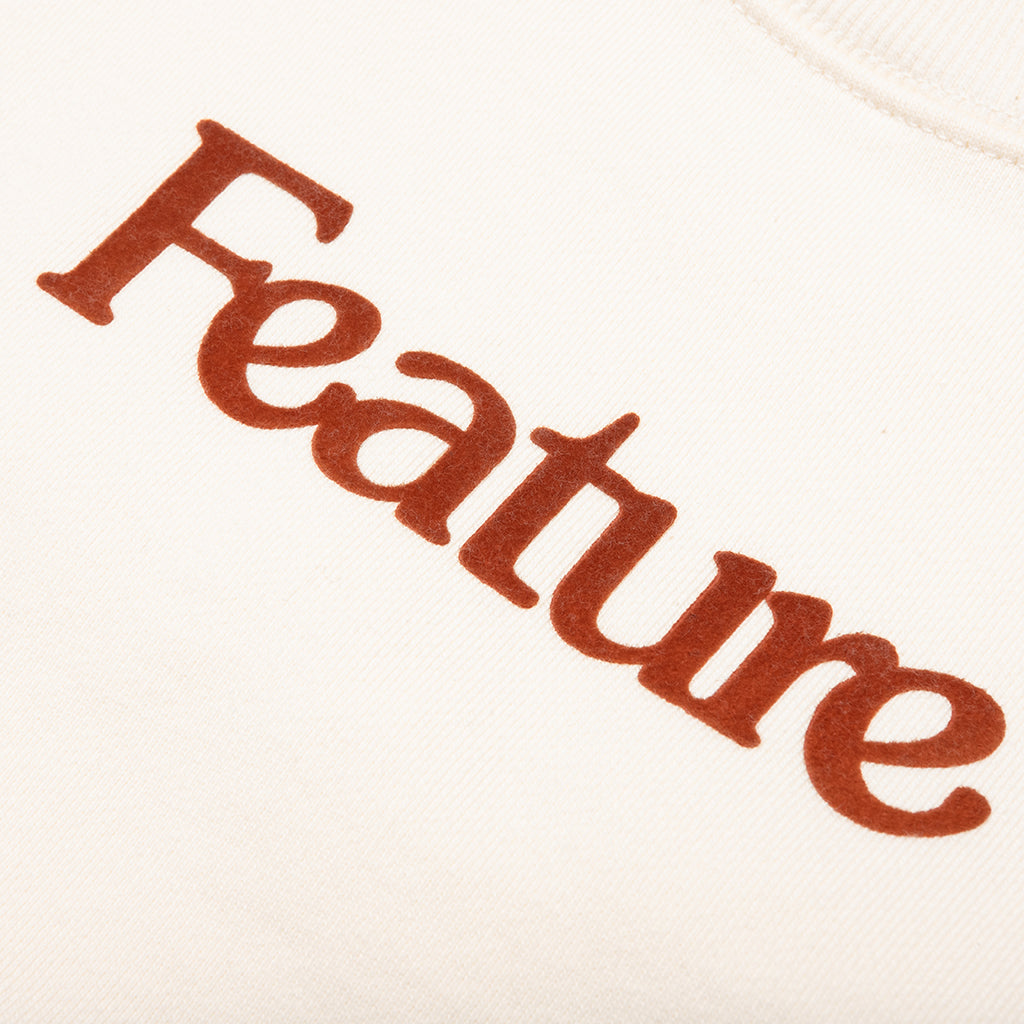 Feature