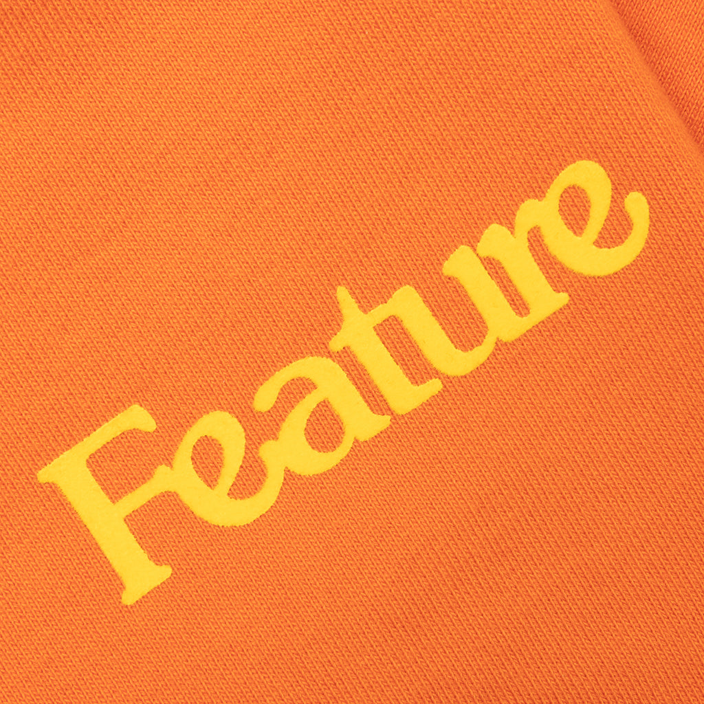 Feature