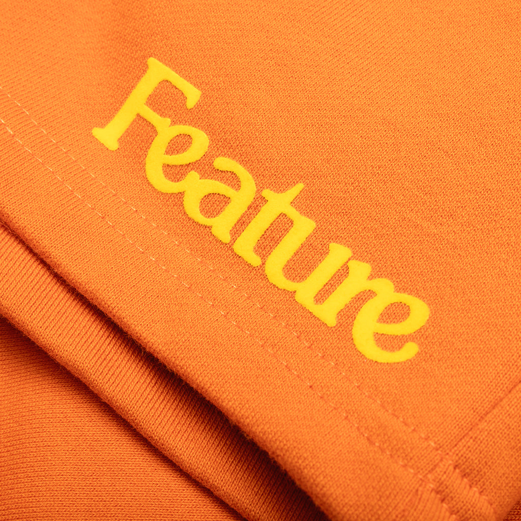 Feature