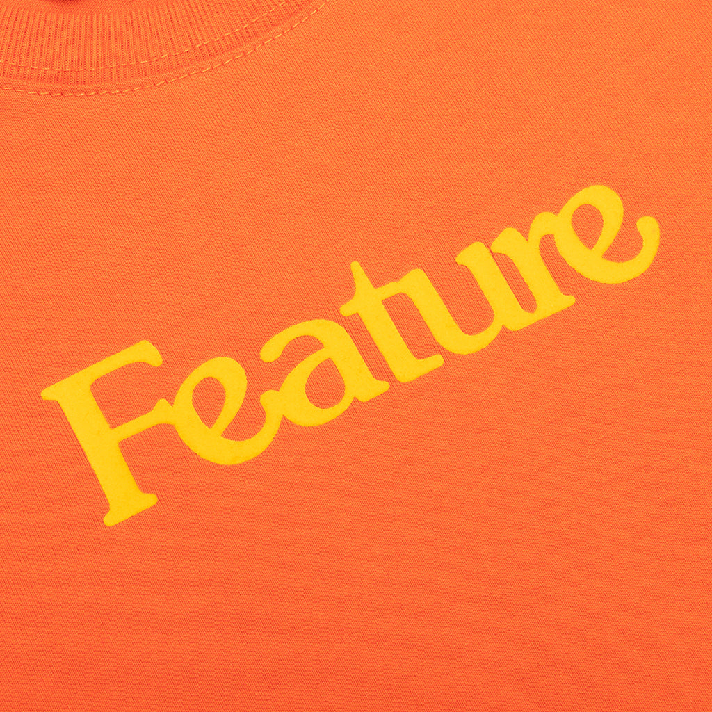 Feature