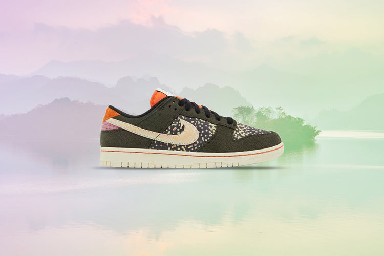 Nike-Dunk-Low-Retro-SE-Rainbow  display picture 2