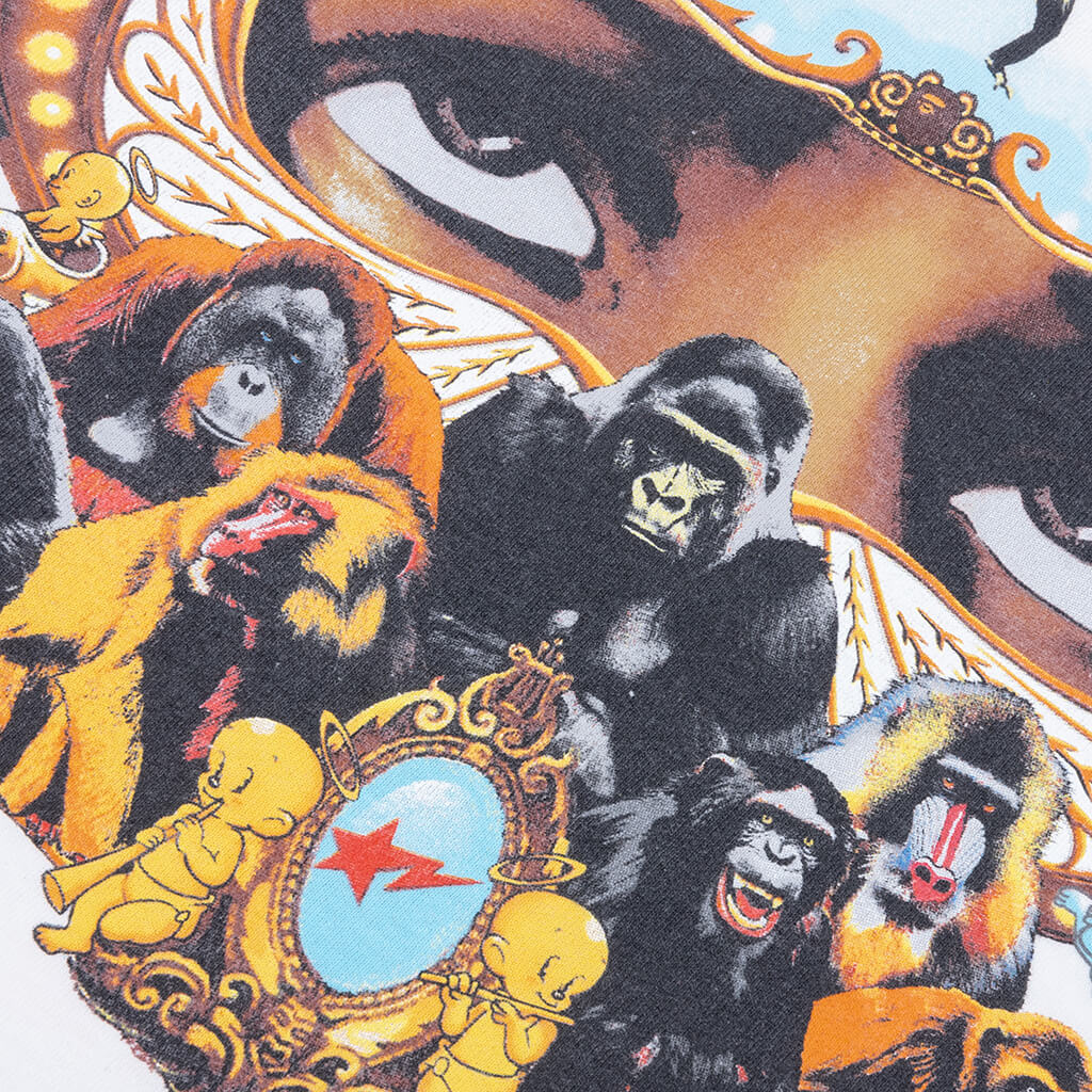 Feature