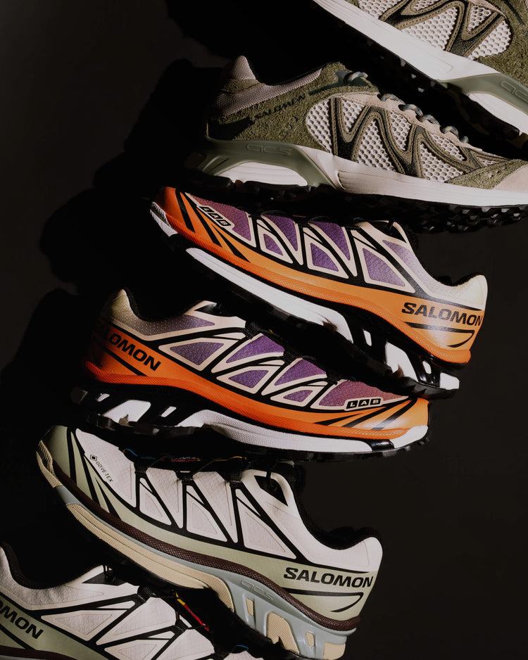 Gazelle Indoor