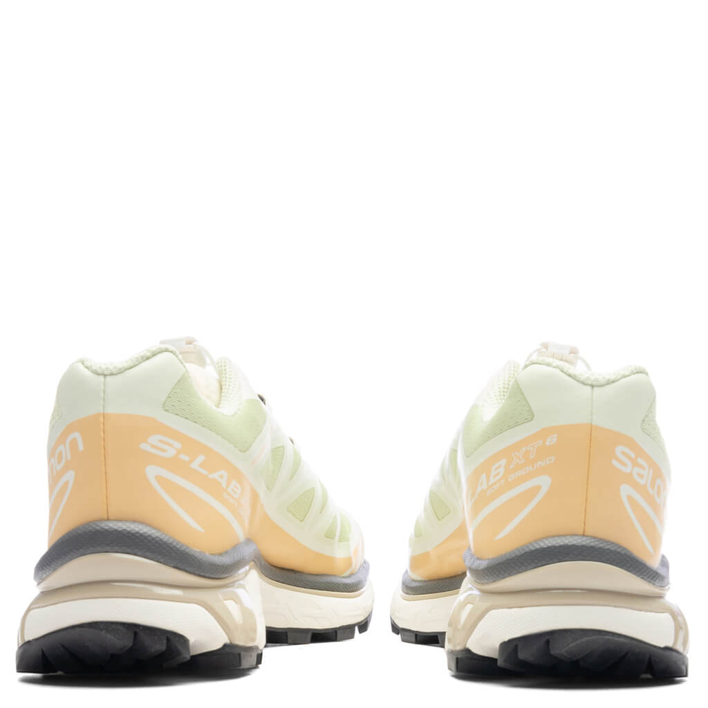 Salomon XT-6