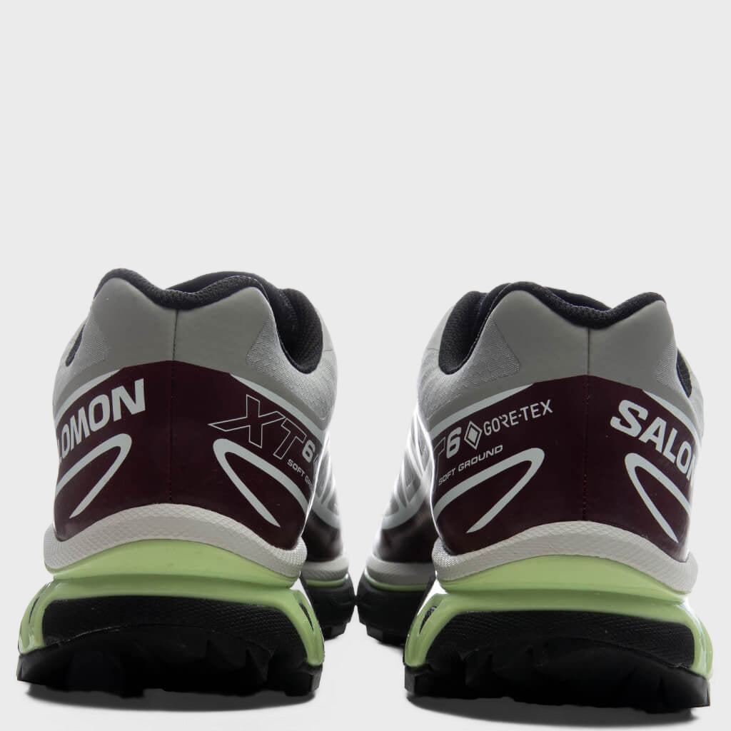 XT-6 GTX - Paloma/Maroon Banner/Butterfly – Feature