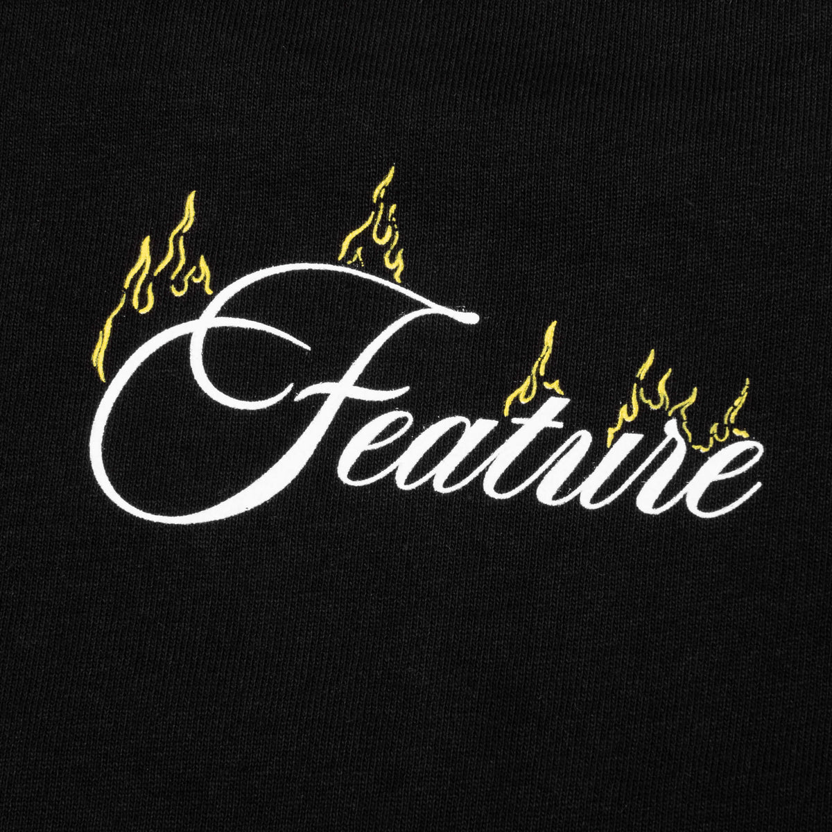 Feature