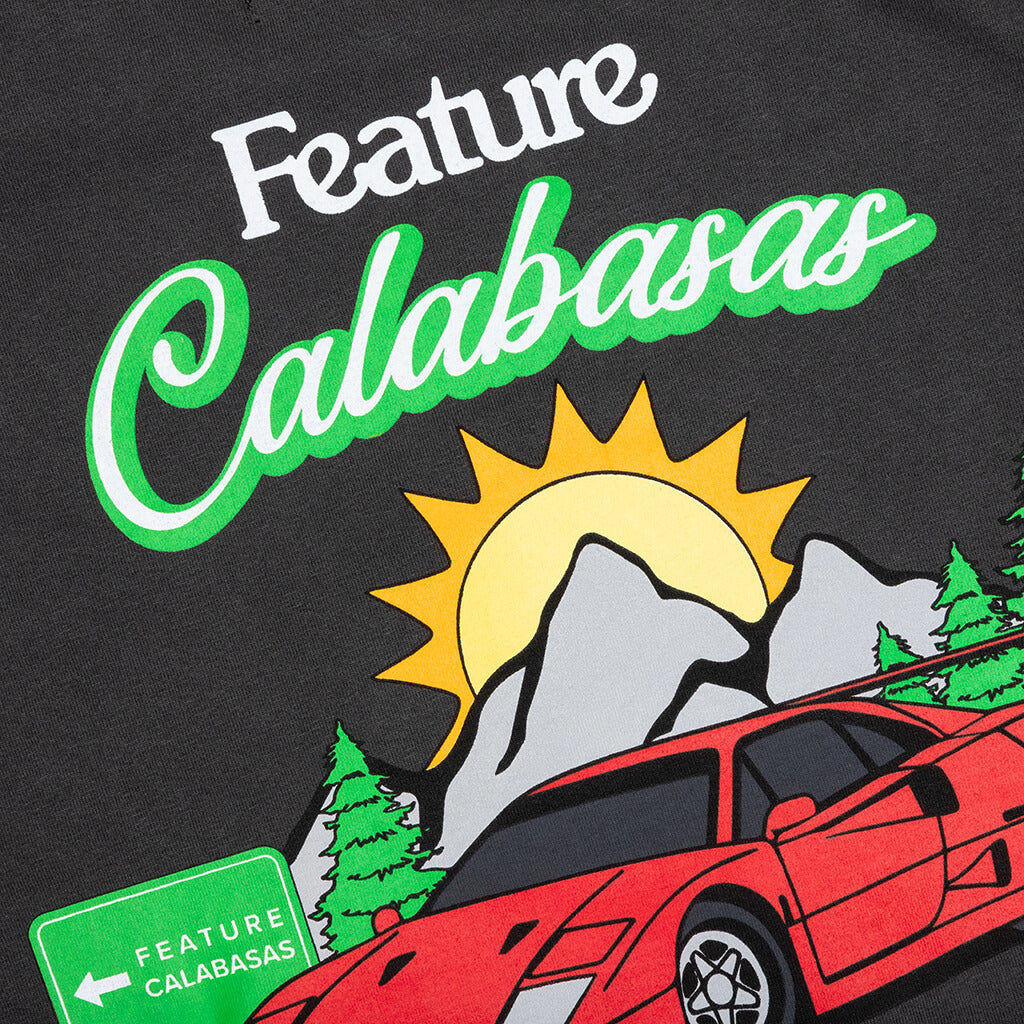 Feature