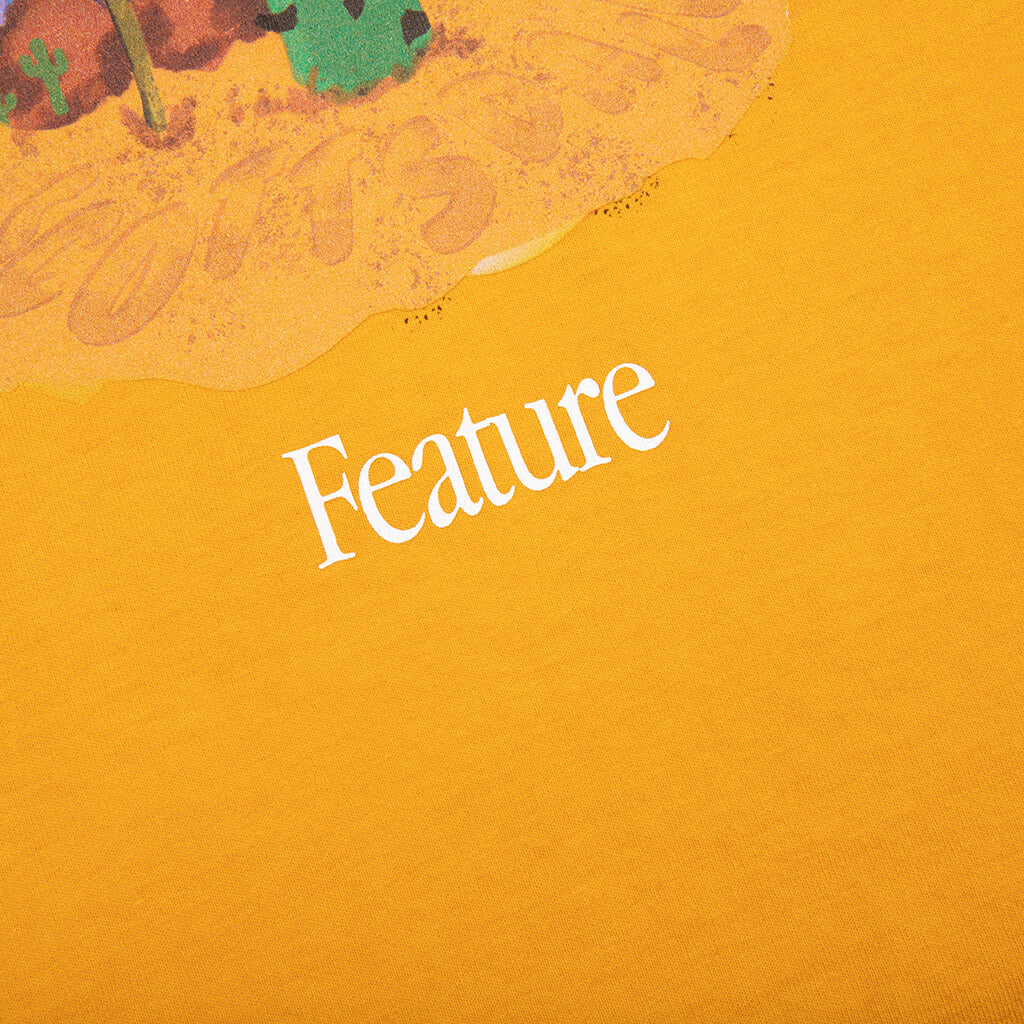 Feature
