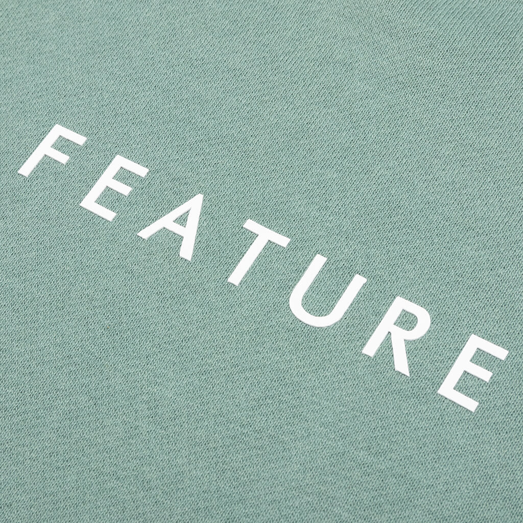 Feature