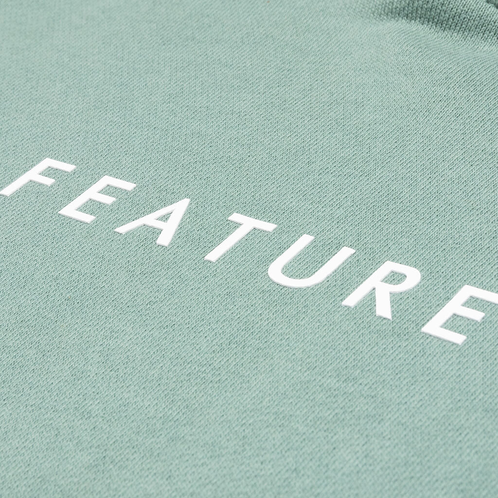 Feature