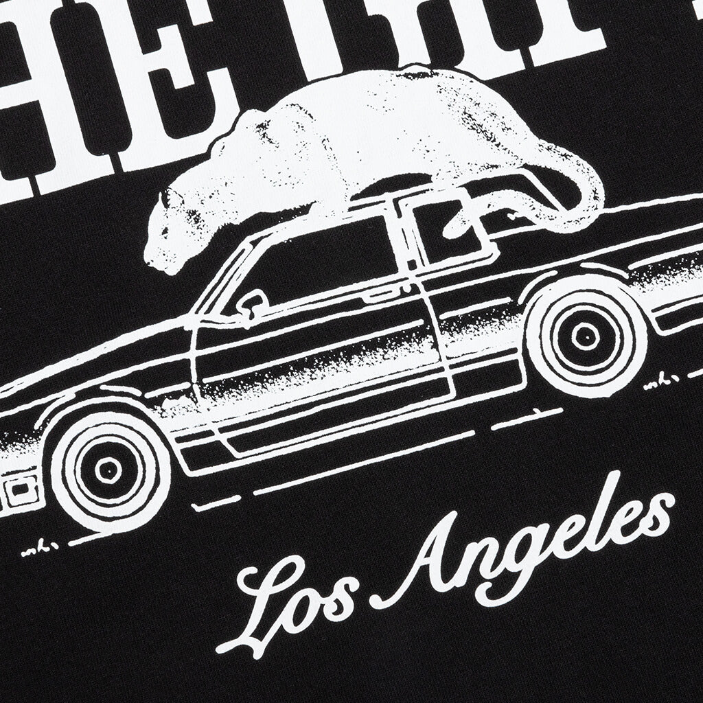 Feature