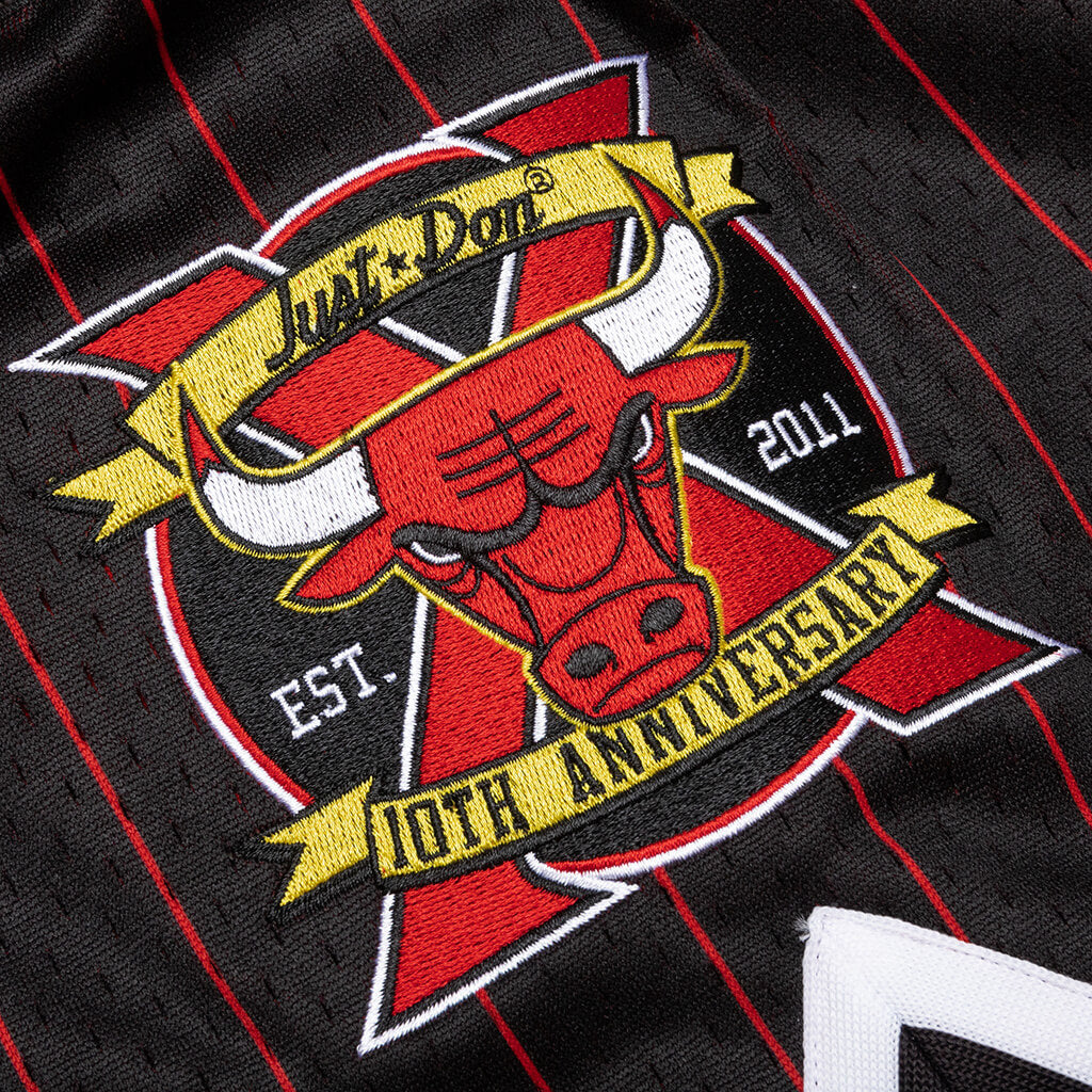 Bulls store tenth anniversary shorts