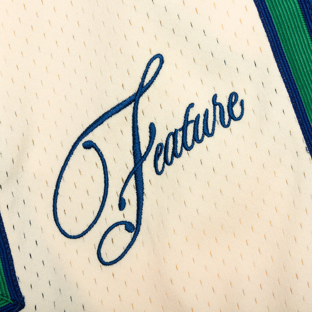 Feature