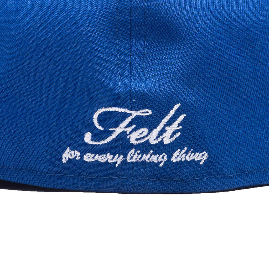 Feature