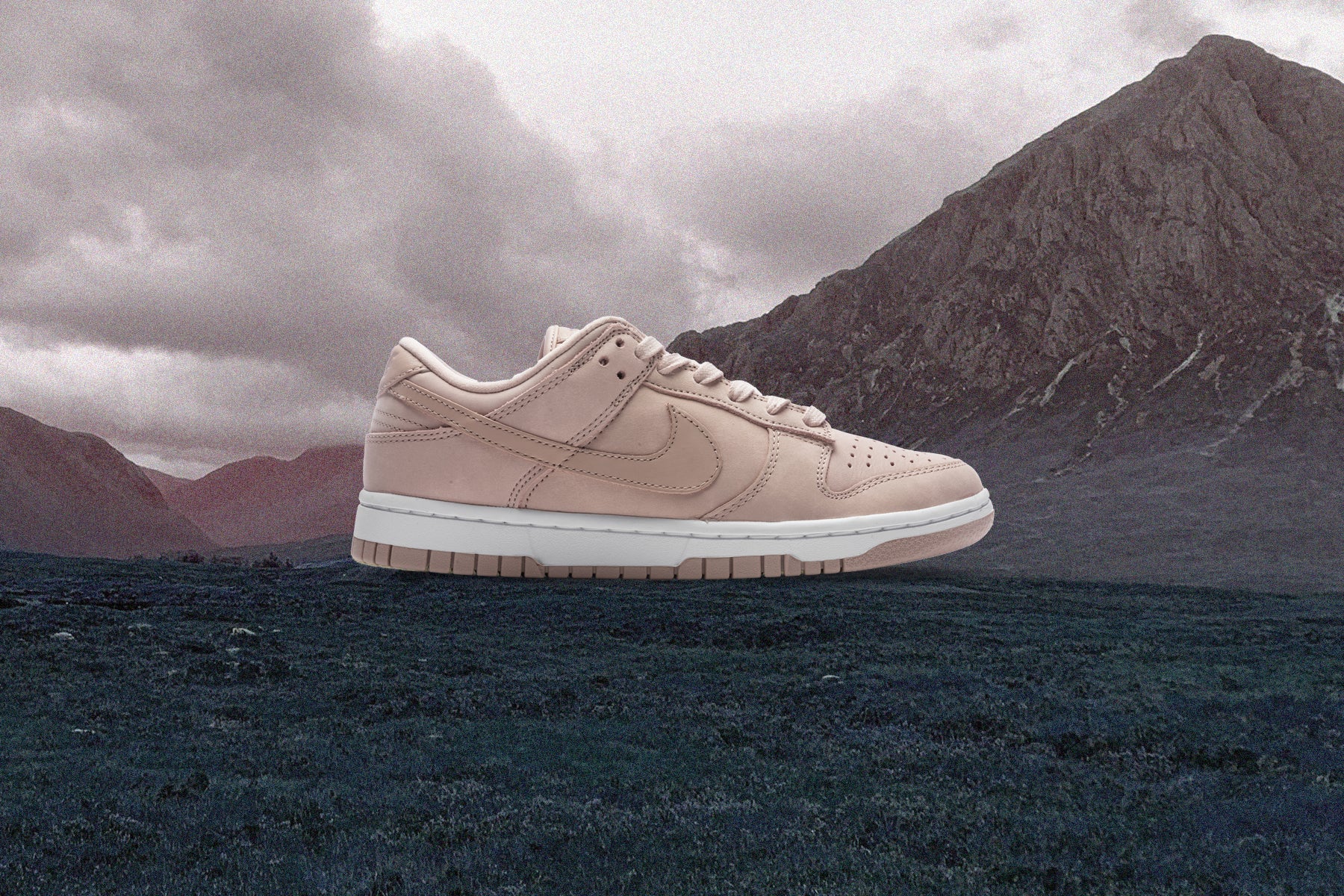 dunk low pink oxford