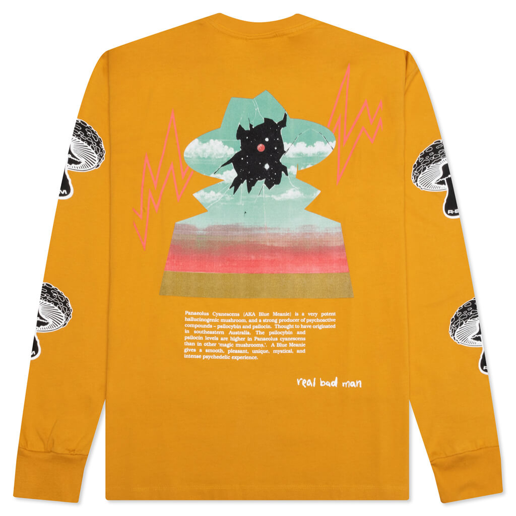 Feature