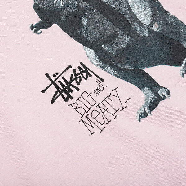 Big & Meaty Pigment Dyed Tee - Blush – Feature