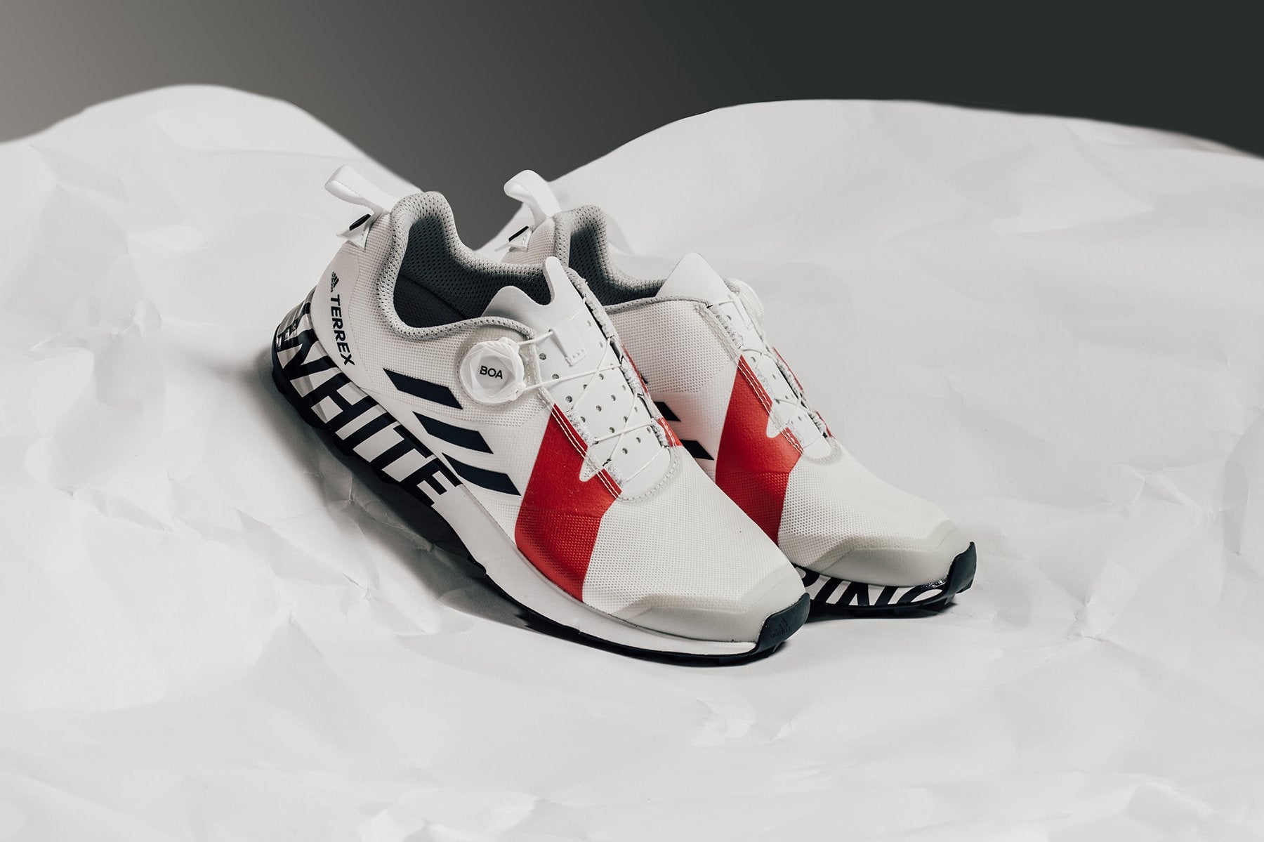 Originals x White Mountaineering Terrex Two BOA - White/Navy – Feature
