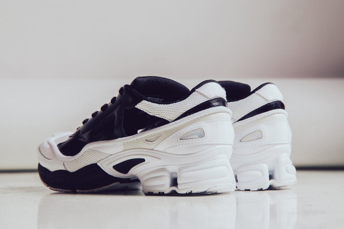 Adidas x Raf Simons Replicant Ozweego