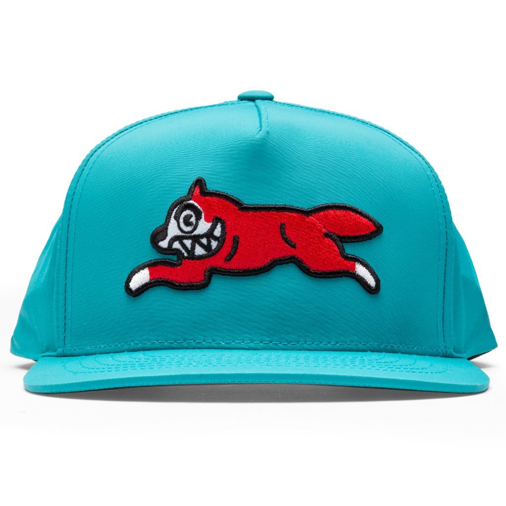 Ladd Snapback Hat - Teal – Feature