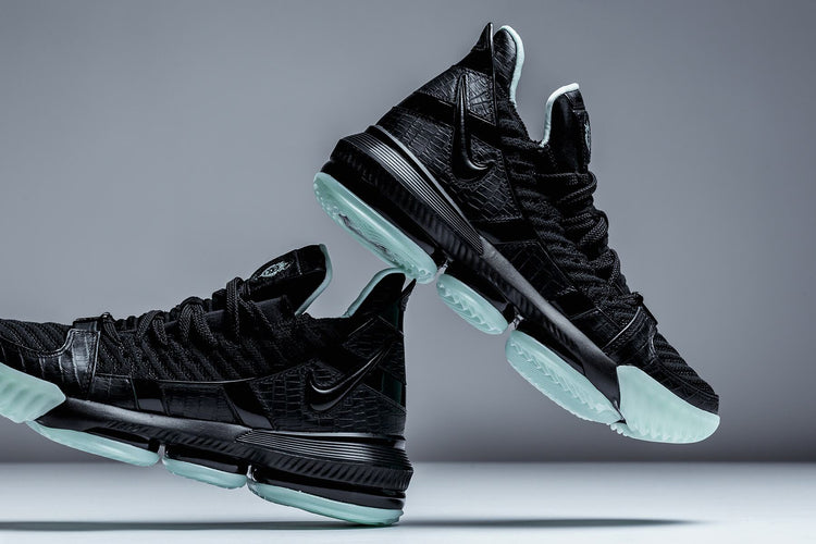 LeBron 16 SB  display picture 1