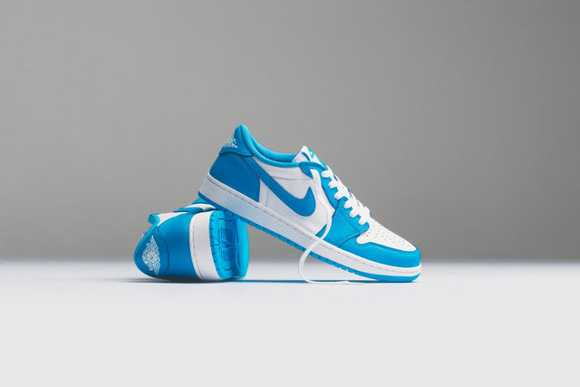 sb x air jordan i low dark powder blue